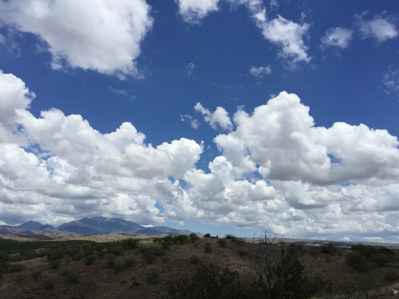 Clouds of Change