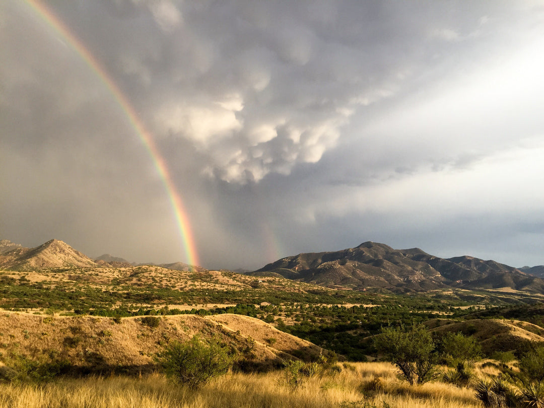 Nature as Medicine
