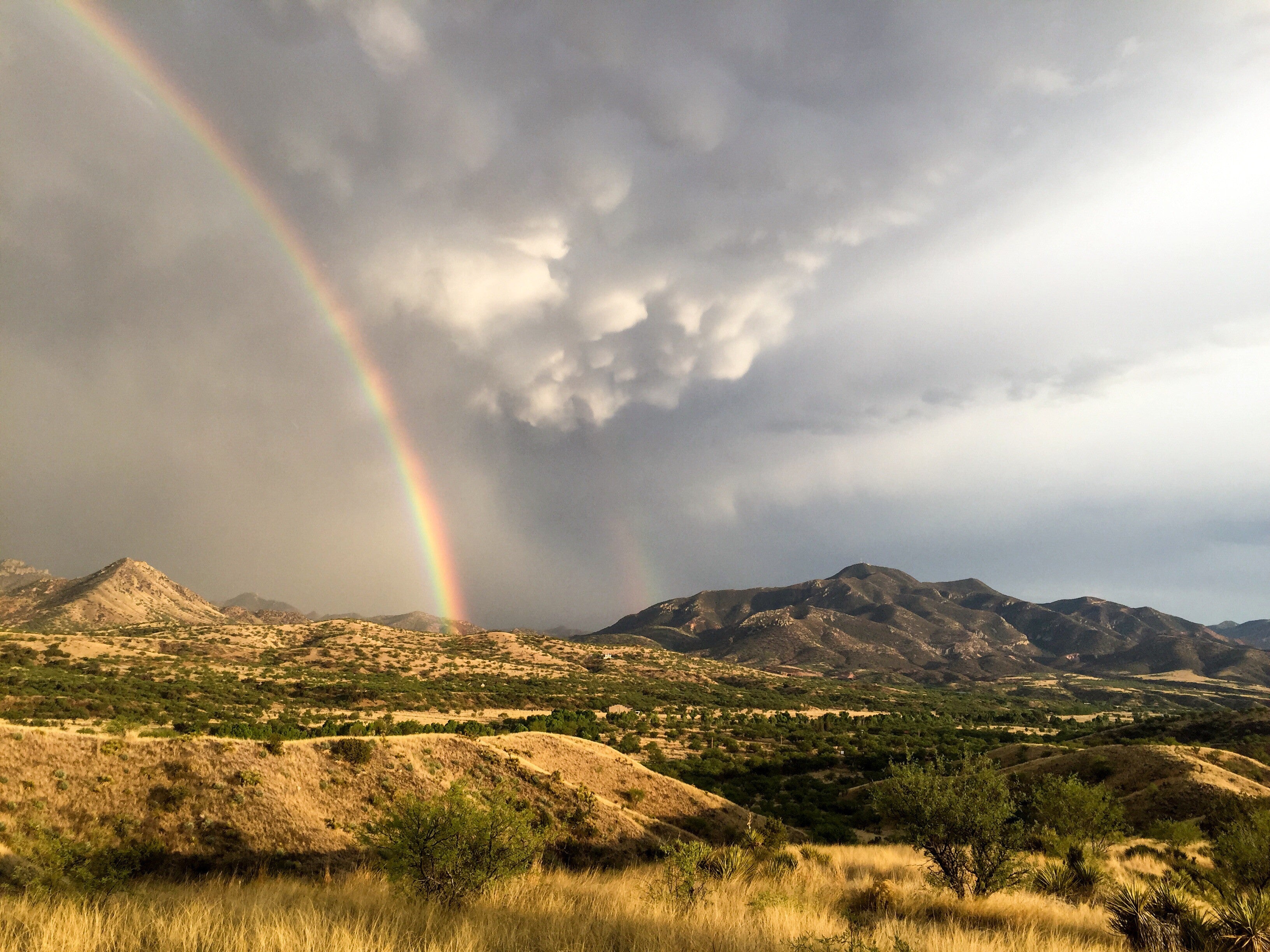 Nature as Medicine