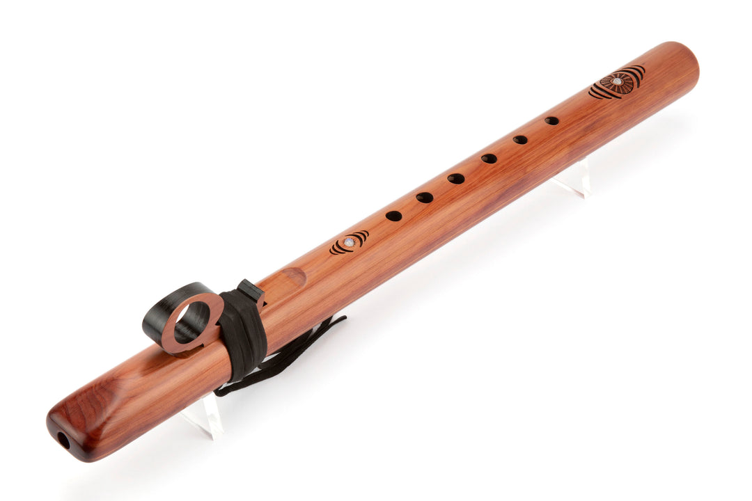 EarthTone Bass &