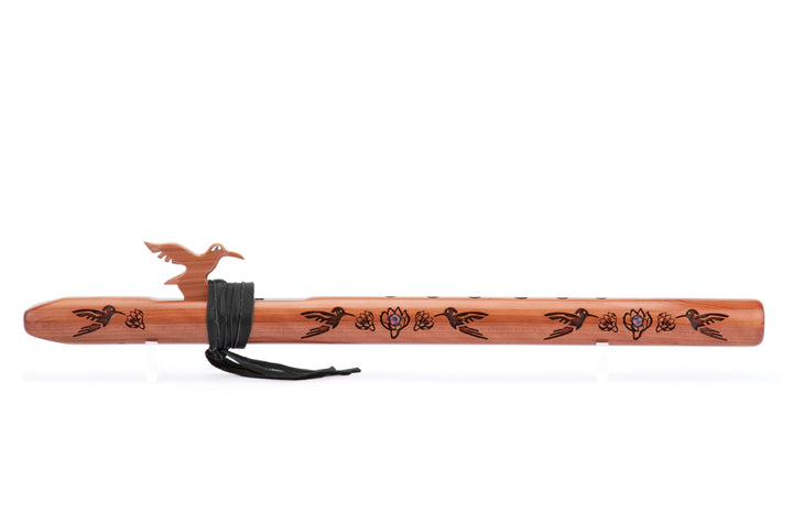 Signature Hummingbird &