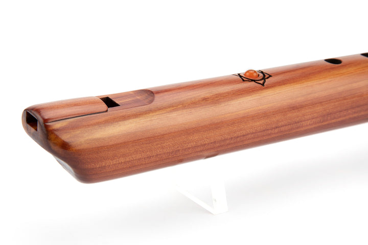 Preservation Sacral Chakra Bass &
