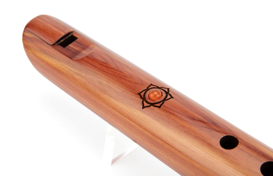 Preservation Sacral Chakra Bass &