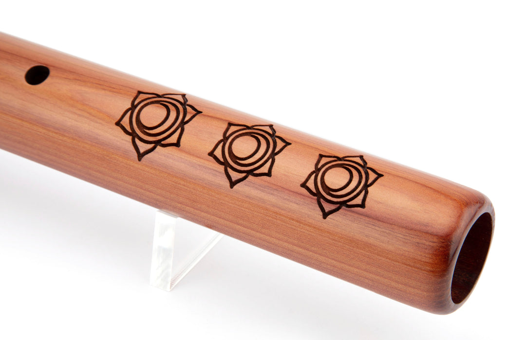Preservation Sacral Chakra Bass &