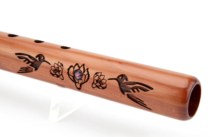 Signature Hummingbird &