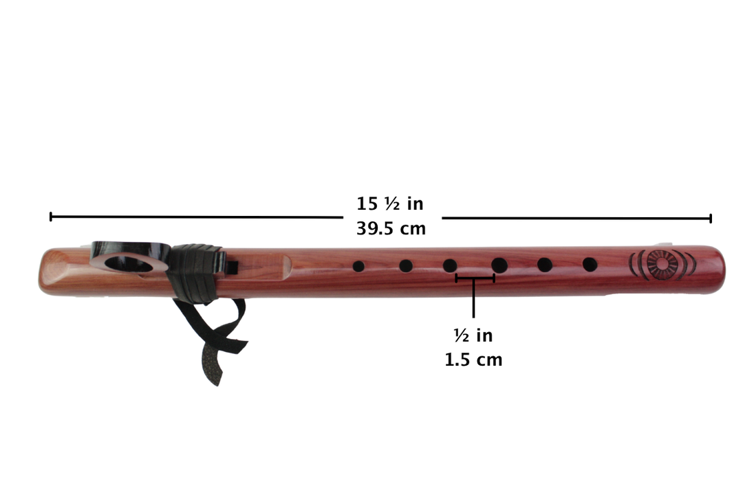 <iframe width="560" height="315" src="https://www.youtube.com/embed/LNALCwxxSvY" title="YouTube video player" frameborder="0" allow="accelerometer; autoplay; clipboard-write; encrypted-media; gyroscope; picture-in-picture; web-share" allowfullscreen></iframe>