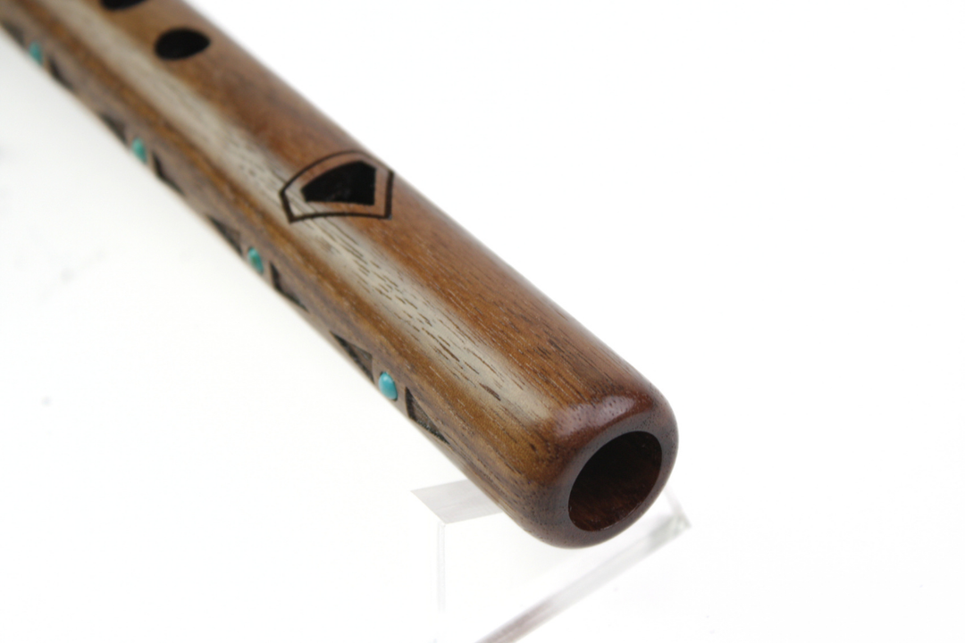Signature Kestrel High "D" Walnut &amp; Turquoise