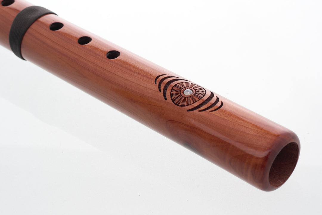 EarthTone Bass &
