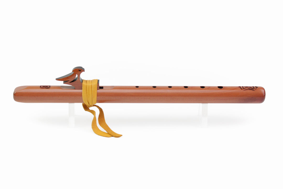 Kestrel high &