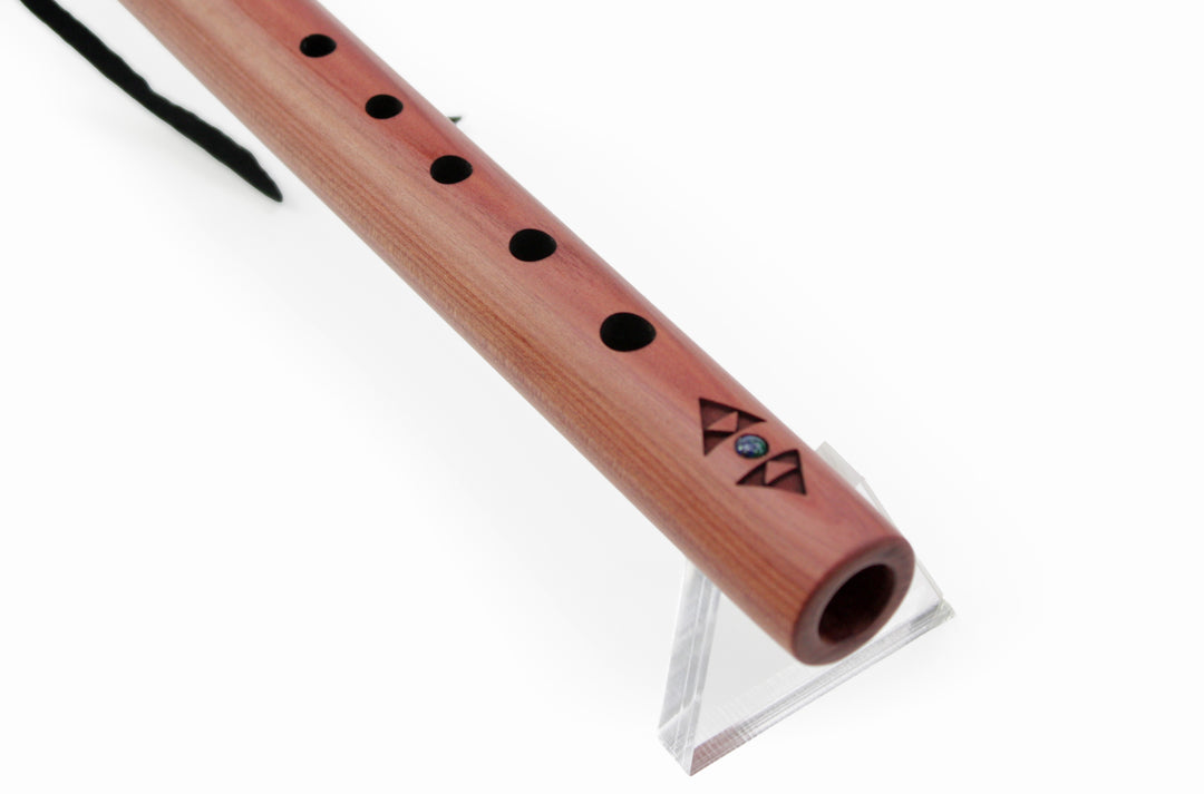 <iframe width="560" height="315" src="https://www.youtube.com/embed/RFqGQXQz-Gc?si=NoaAiidtcjBGIilK" title="YouTube video player" frameborder="0" allow="accelerometer; autoplay; clipboard-write; encrypted-media; gyroscope; picture-in-picture; web-share" referrerpolicy="strict-origin-when-cross-origin" allowfullscreen></iframe>